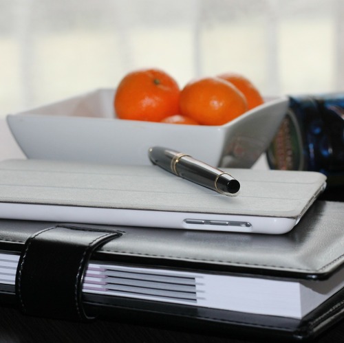 Beratung mit den Vereinsvorständen (Abschluss des Gartenjahres 2026)