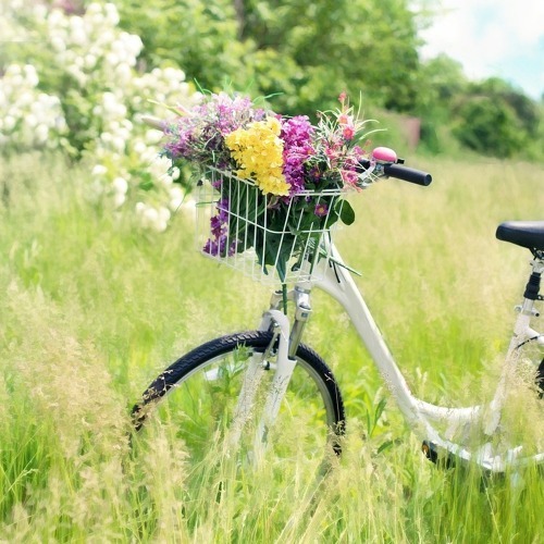 Gemeinsame Radtour